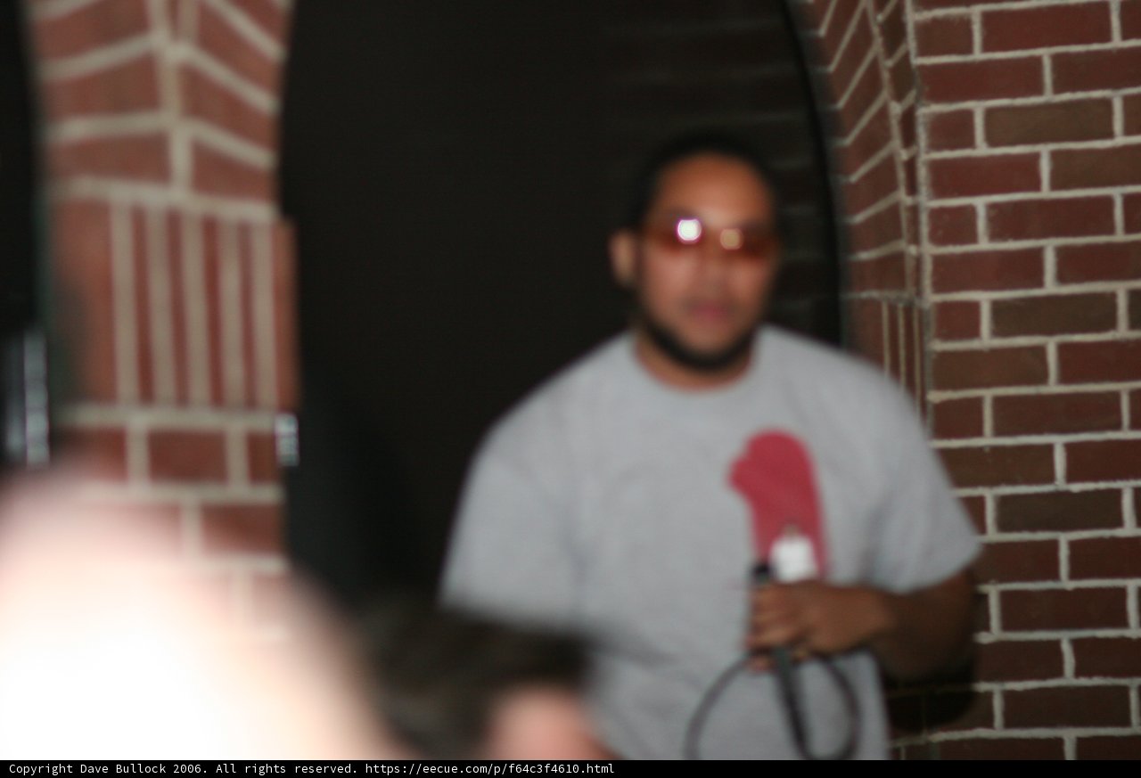 Sunglass Swagger