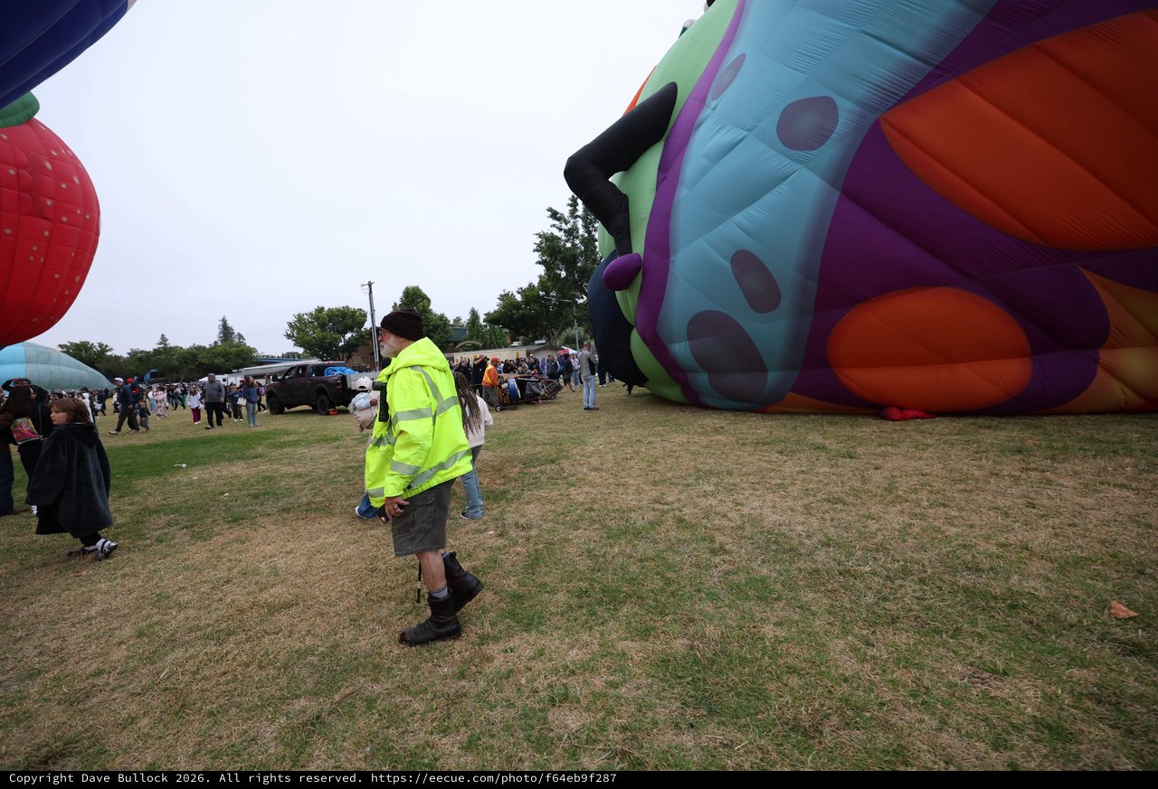 Ground Crew at Sonoma County Hot Air Balloon Festival