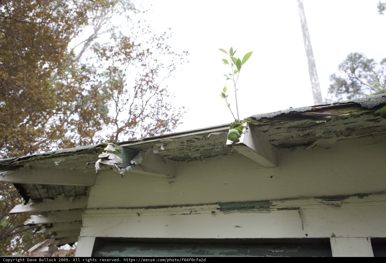 Nature Takes Over