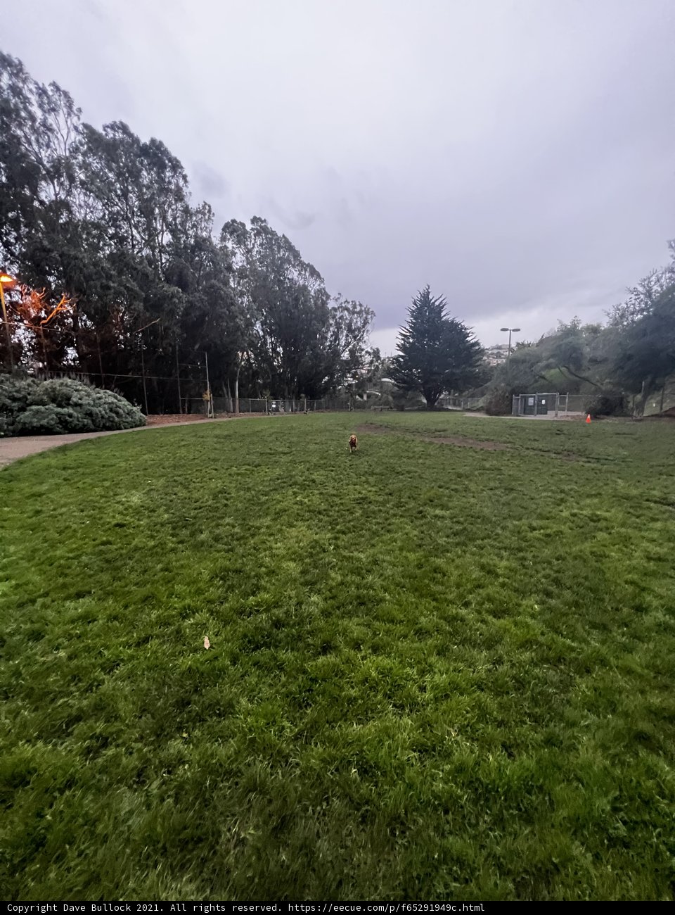Running Free in Nature
