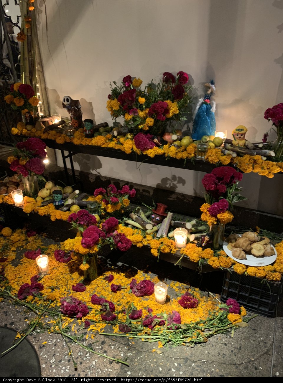 Floral Feast