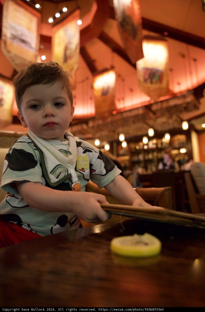 Lemon Zest at Disney: A Sweet Memory