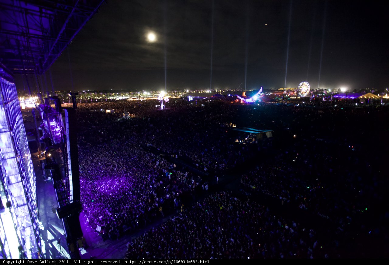 Moonlit Madness