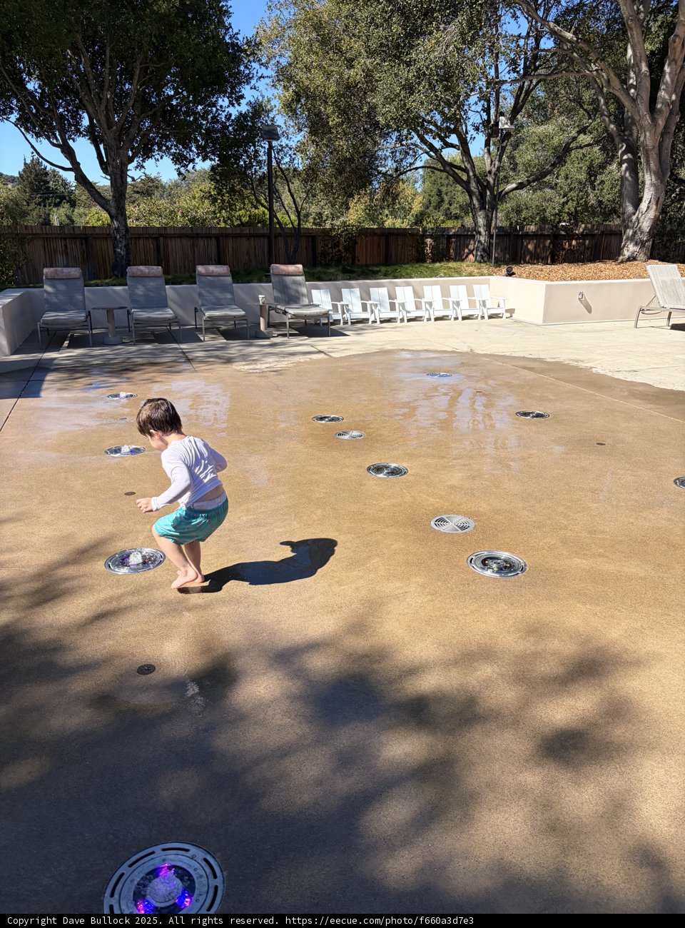 Joyful Splash on a Sunny Day