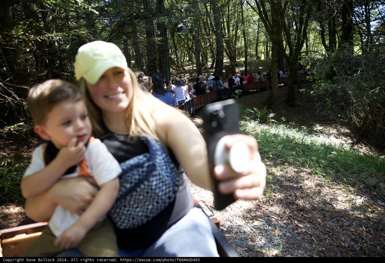 Woodland Adventure