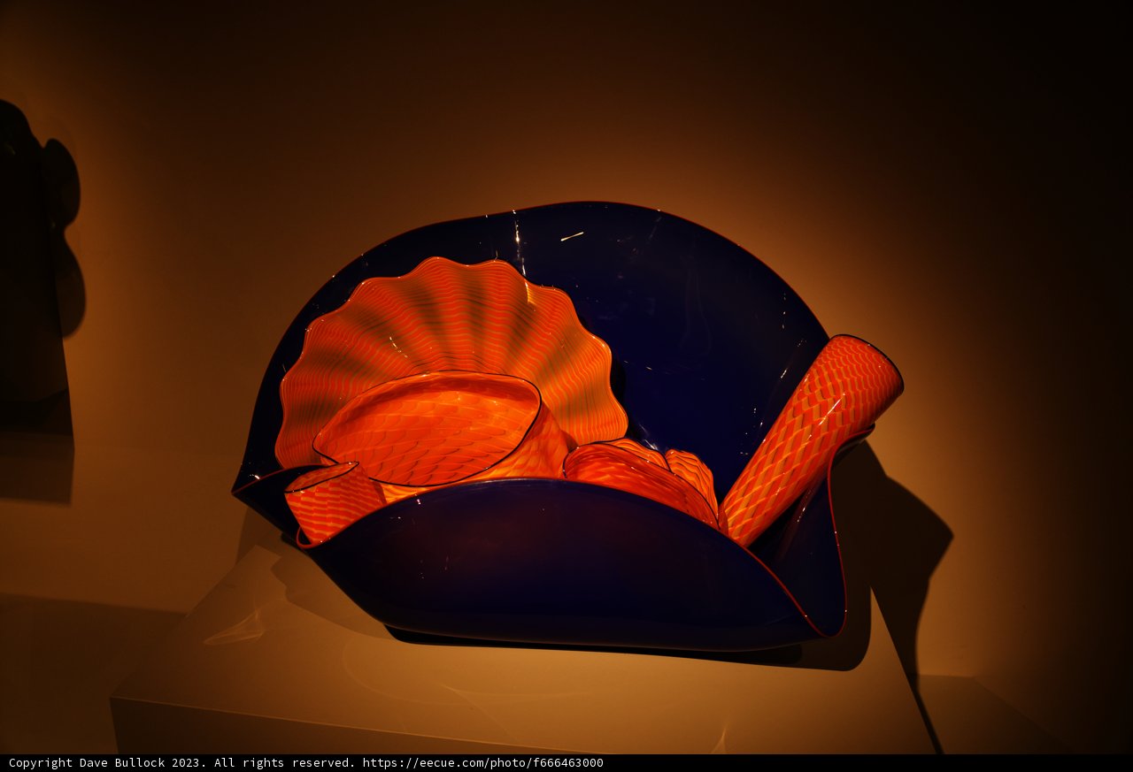 Nature's Palette: A Fusion of Art and Sea Life
