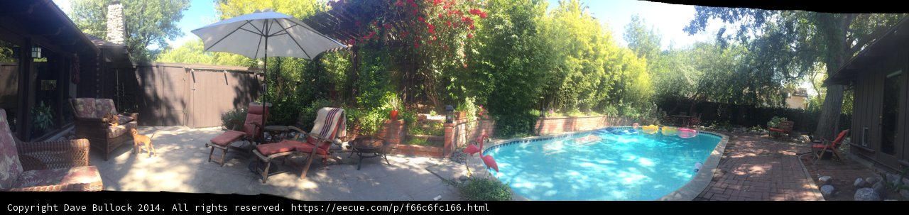 Serenity of a Backyard Oasis