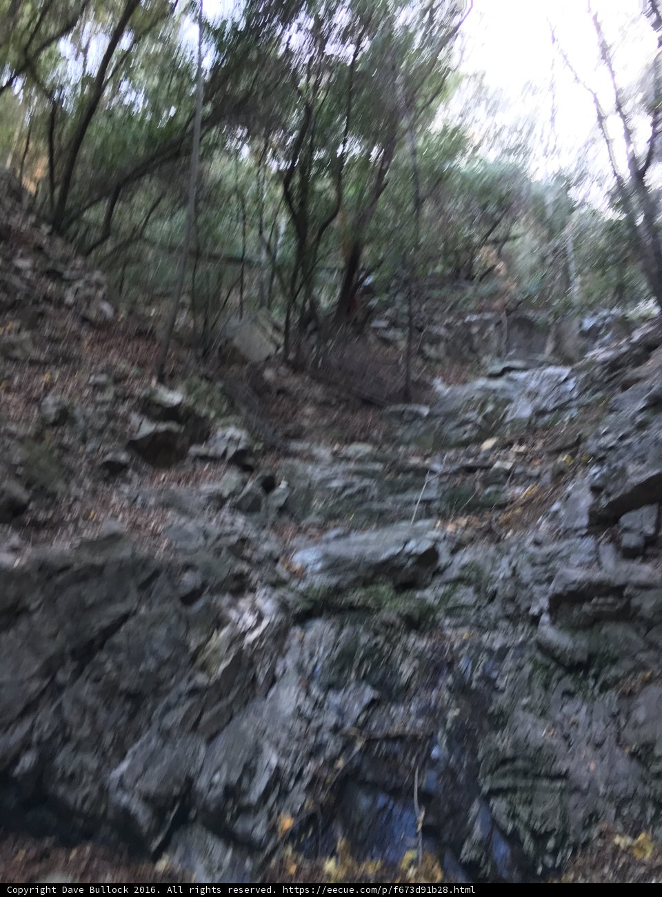Serene Stream in the Wilderness