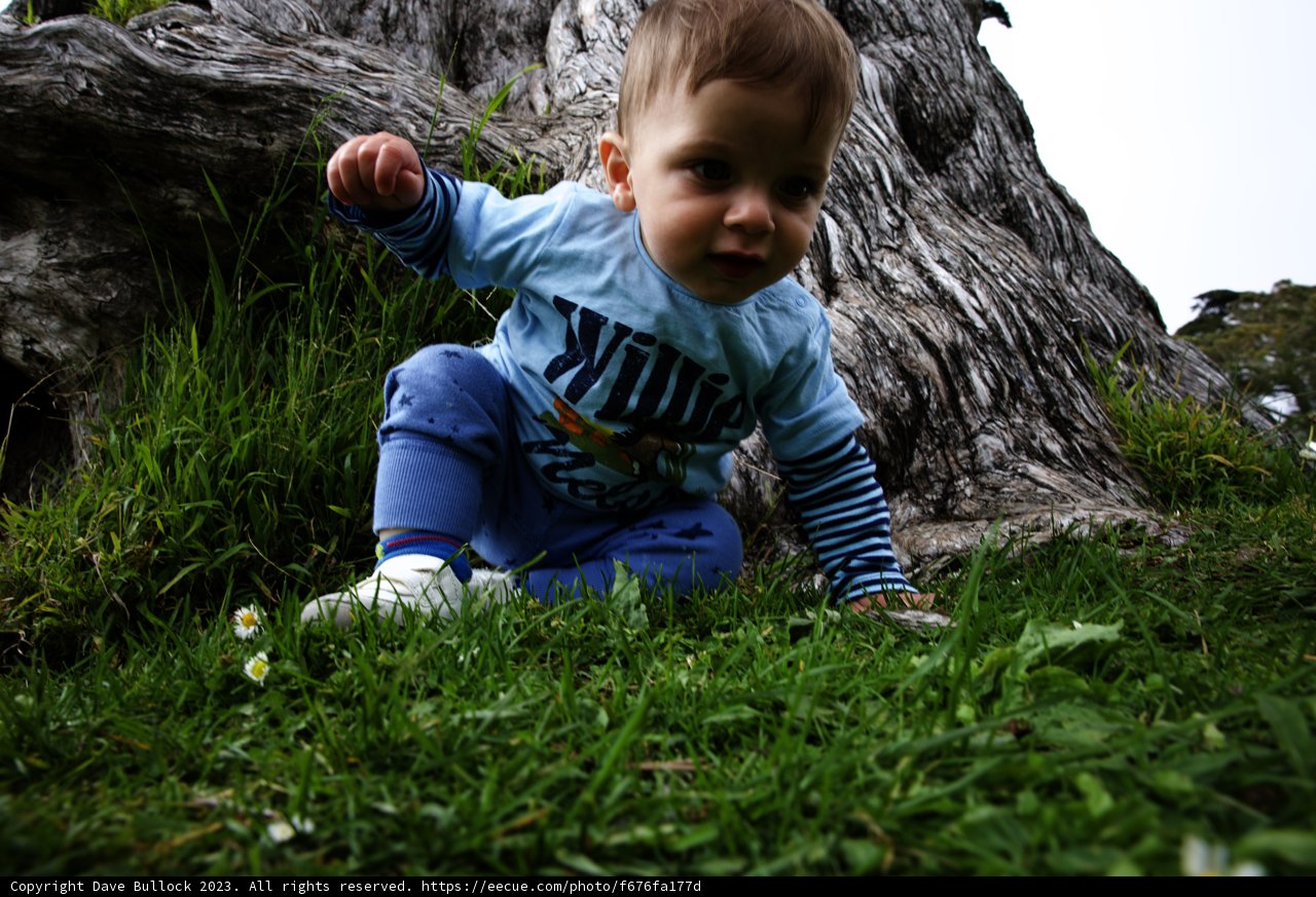 Little Explorer in the Botanical Garden