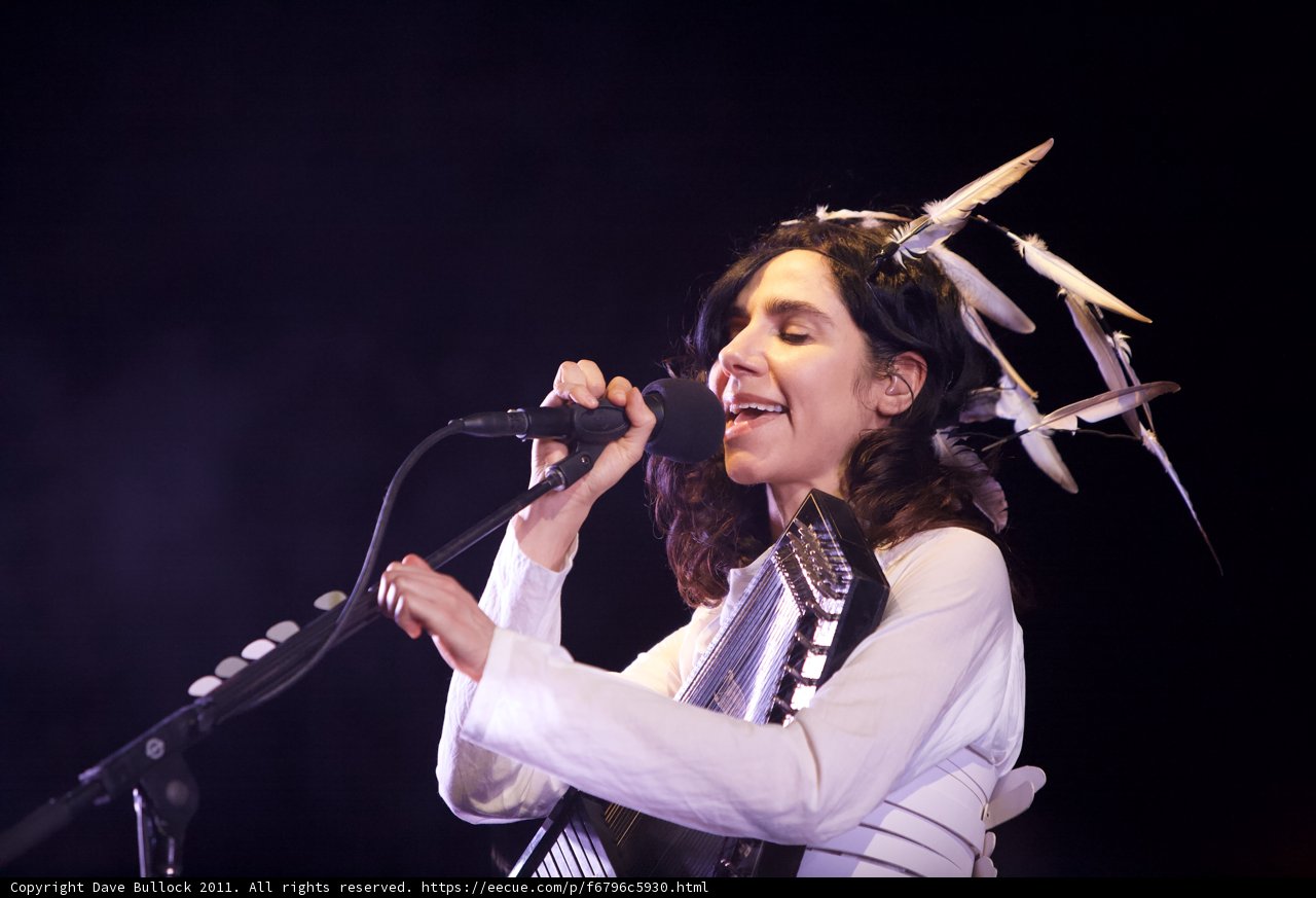 Feathered Songstress