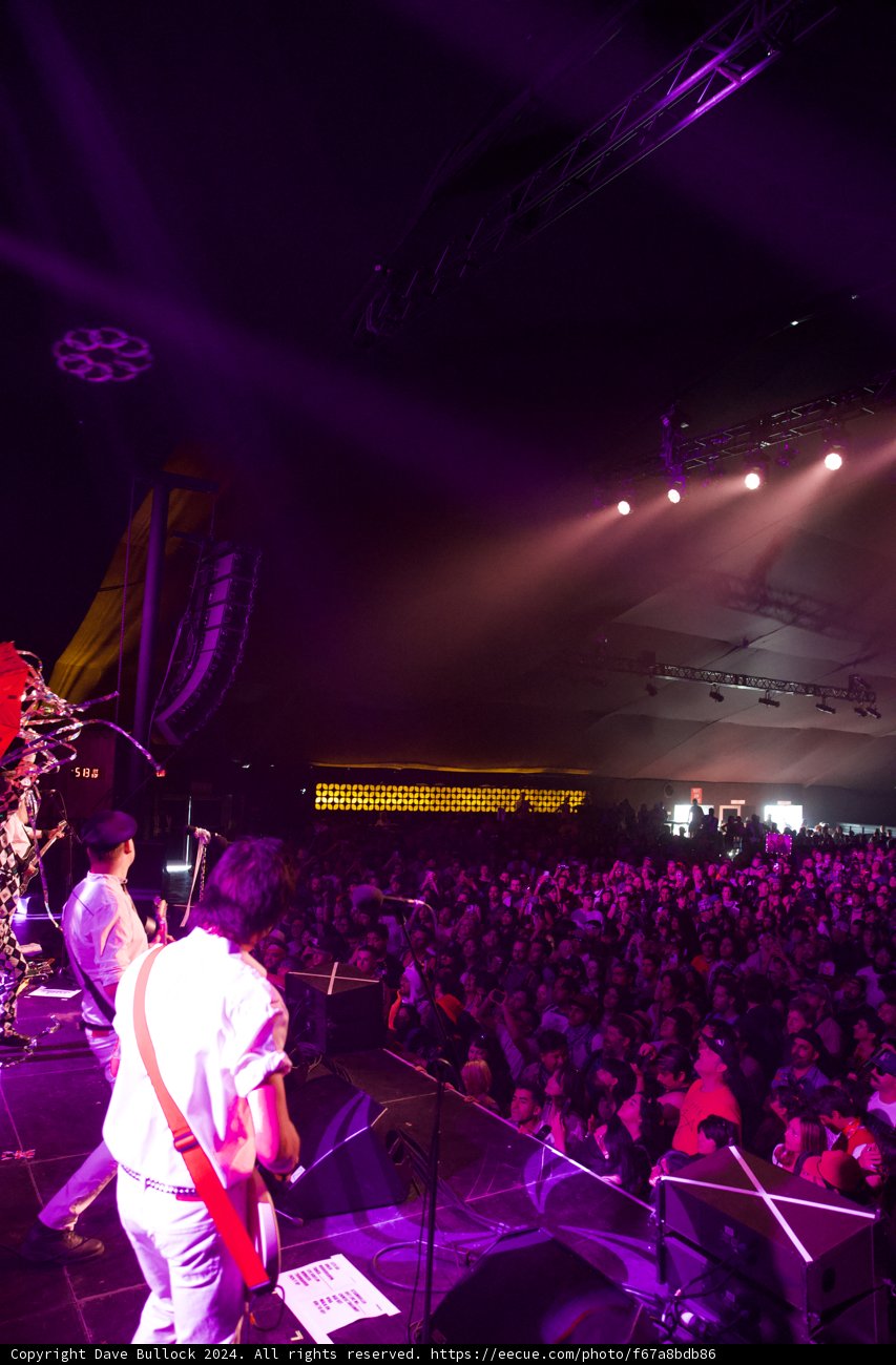 Electric Nights at Coachella 2024