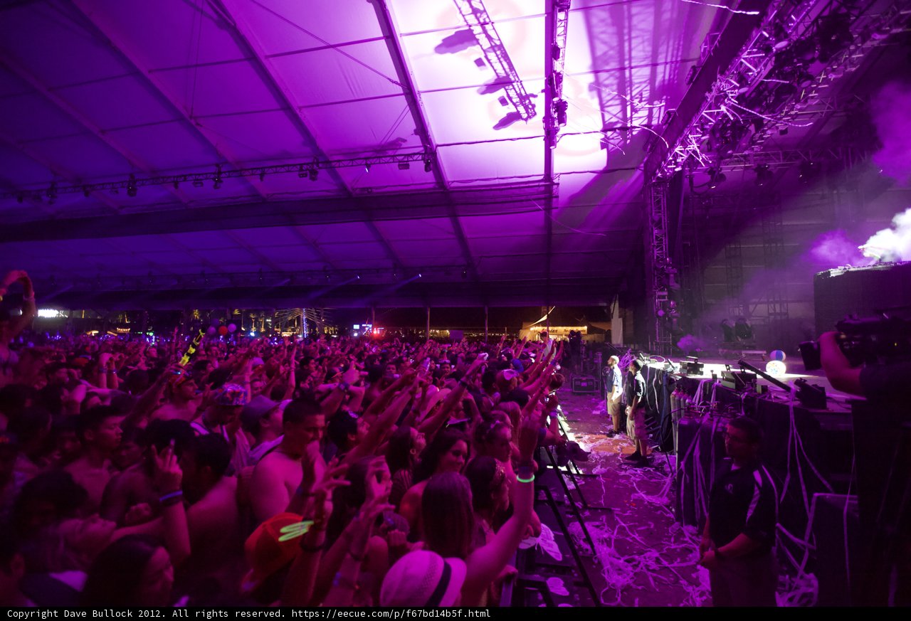 Purple Haze