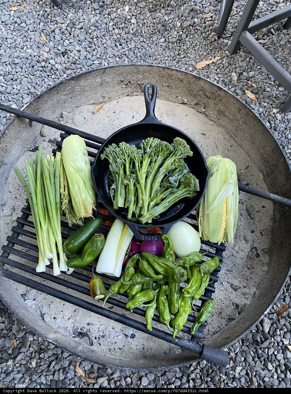 Grilled Vegetable Feast
