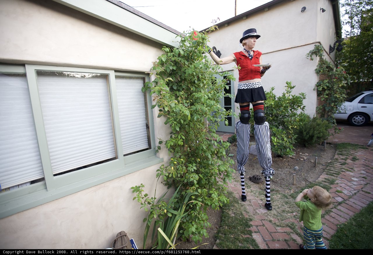 The Man on Stilts