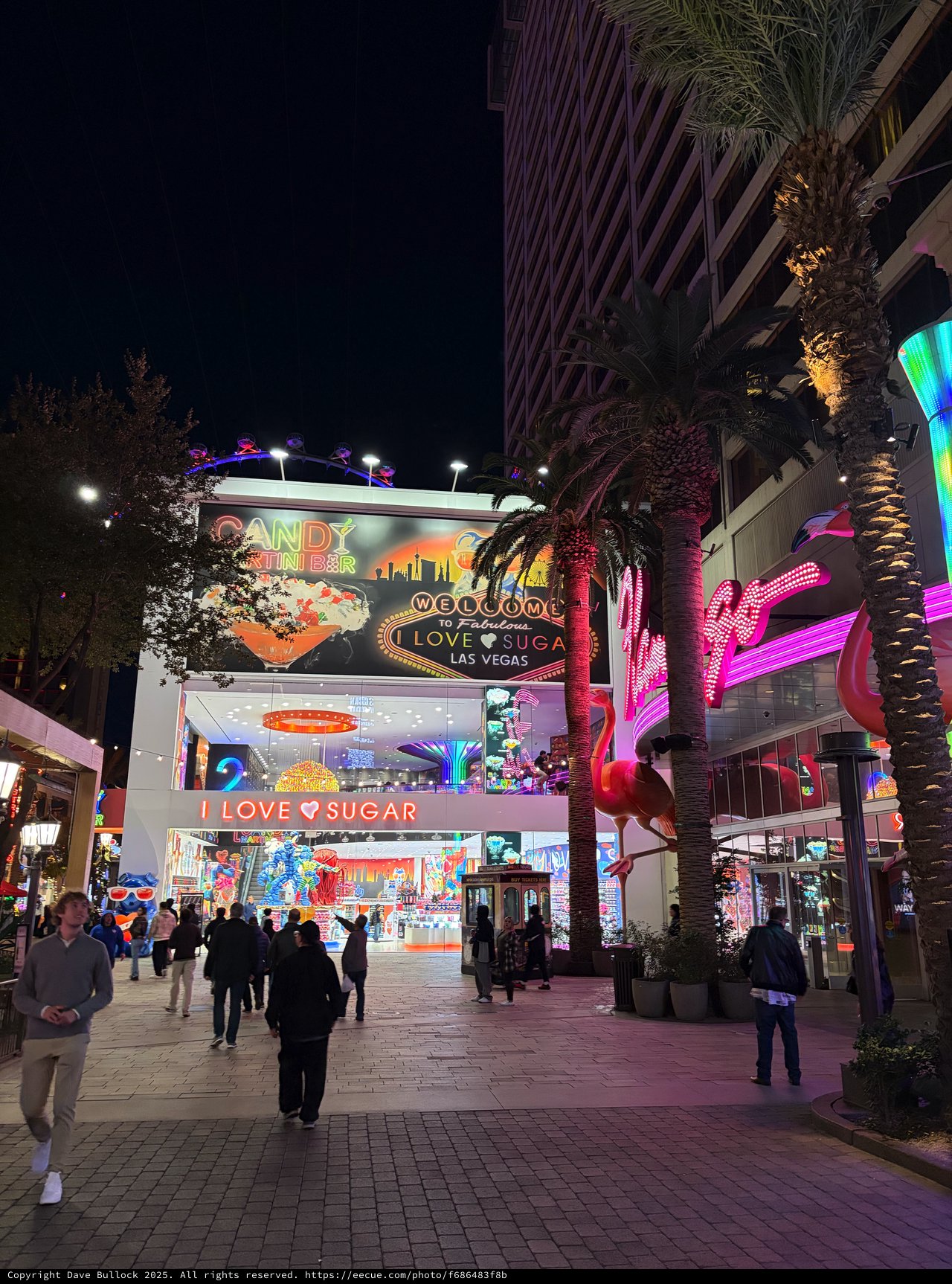 Las Vegas Strip at Night - Sugar Factory Entertainment