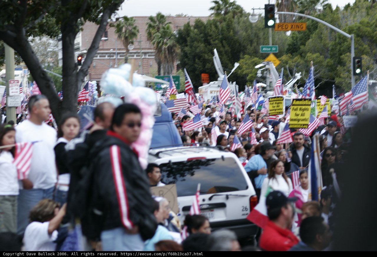 Patriotic Crowd