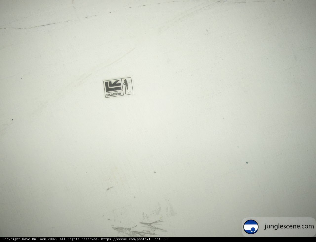 Blank Canvas