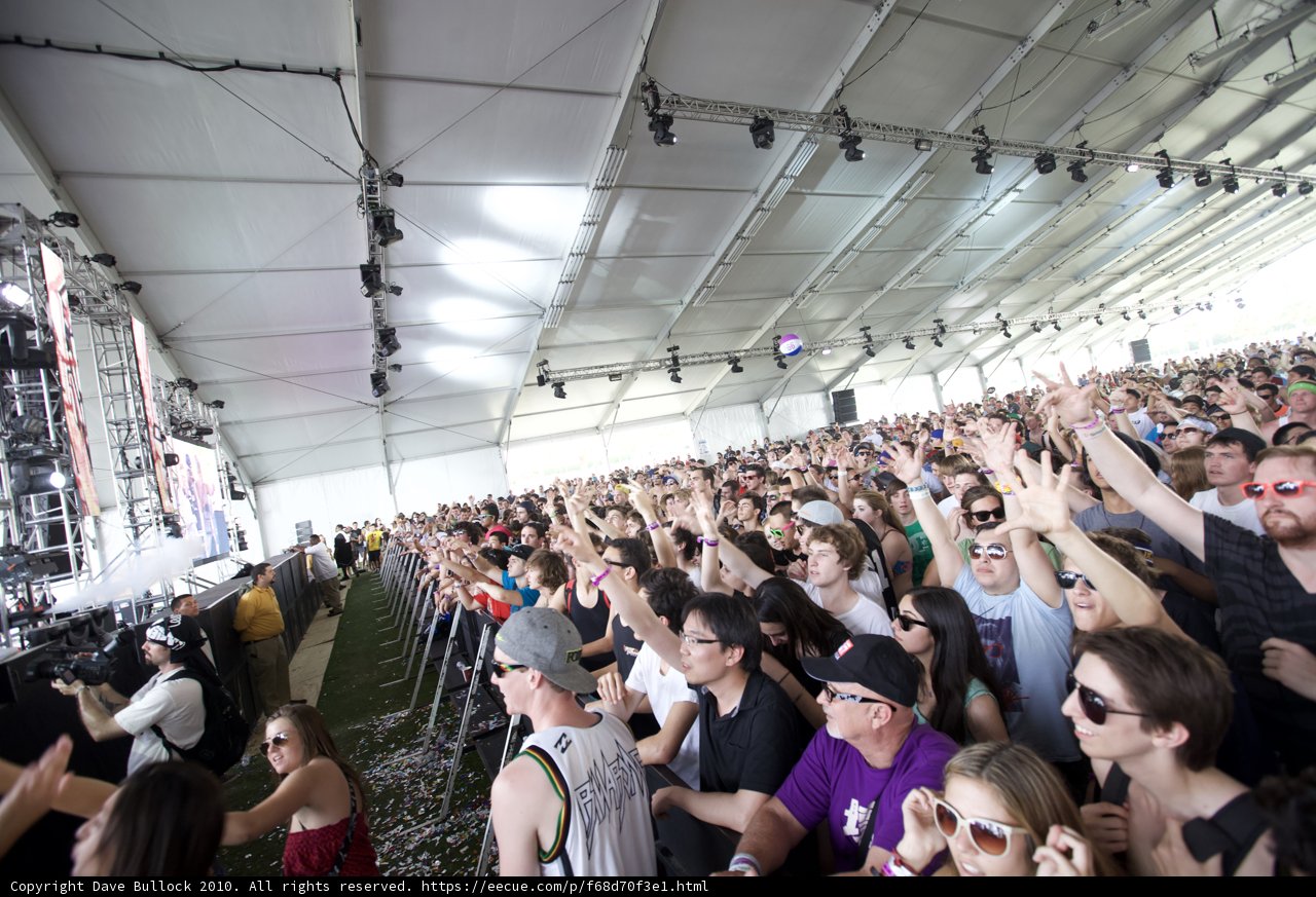 Coachella's Electric Crowd