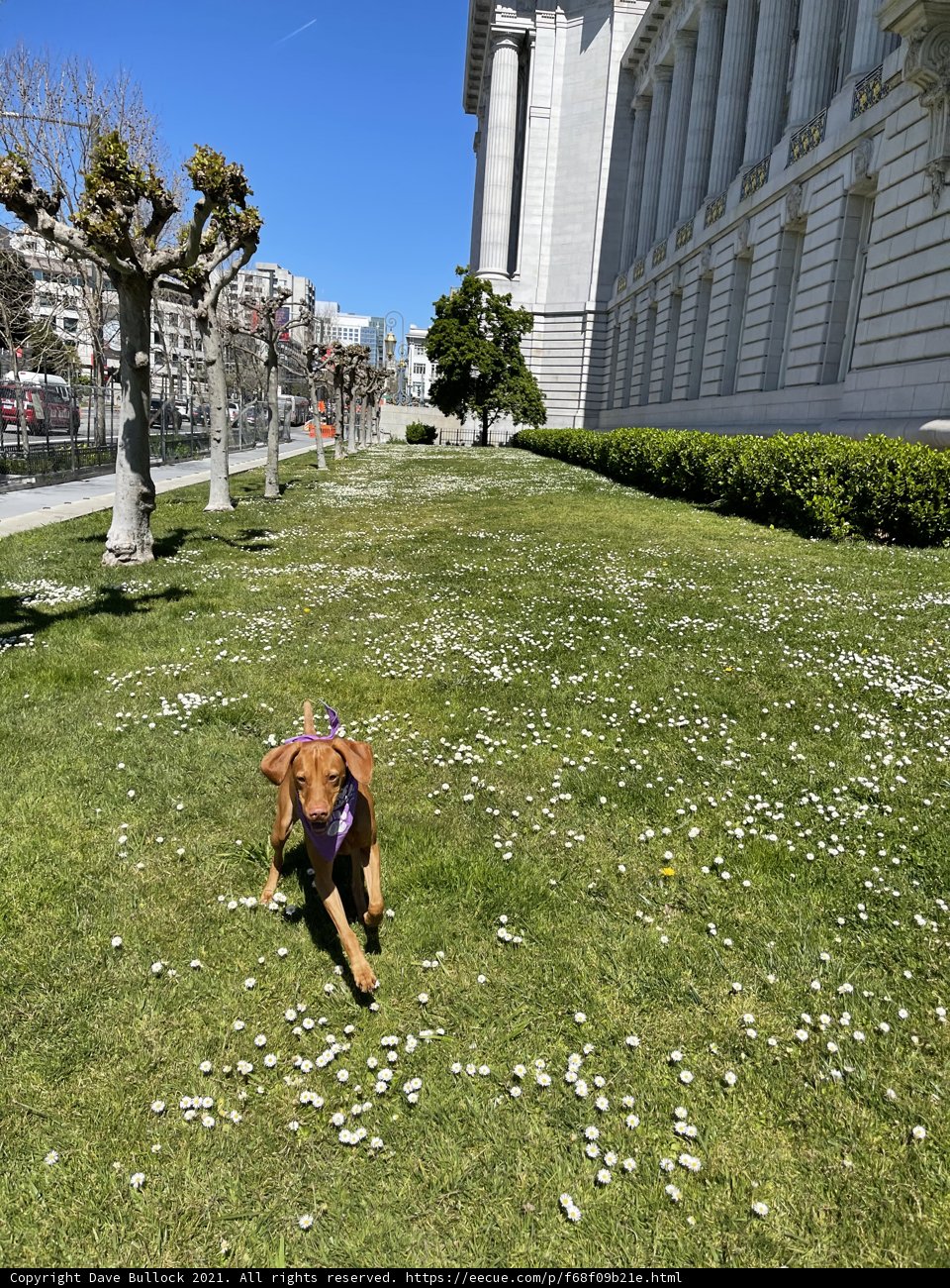 Playtime at San Francisco City Hall