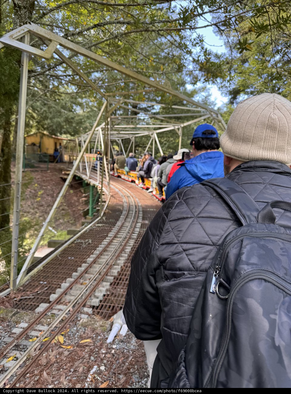 Journey Through Tilden