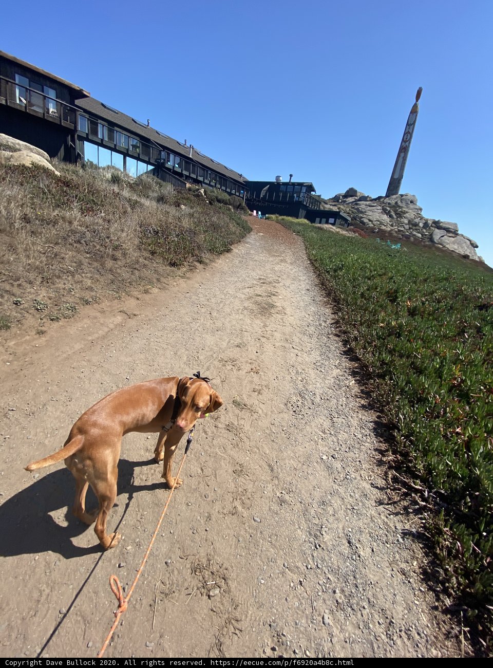 A leisurely stroll amidst nature