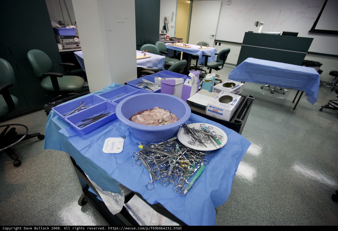 Surgical Tools and Food Bowl in Operating Theatre