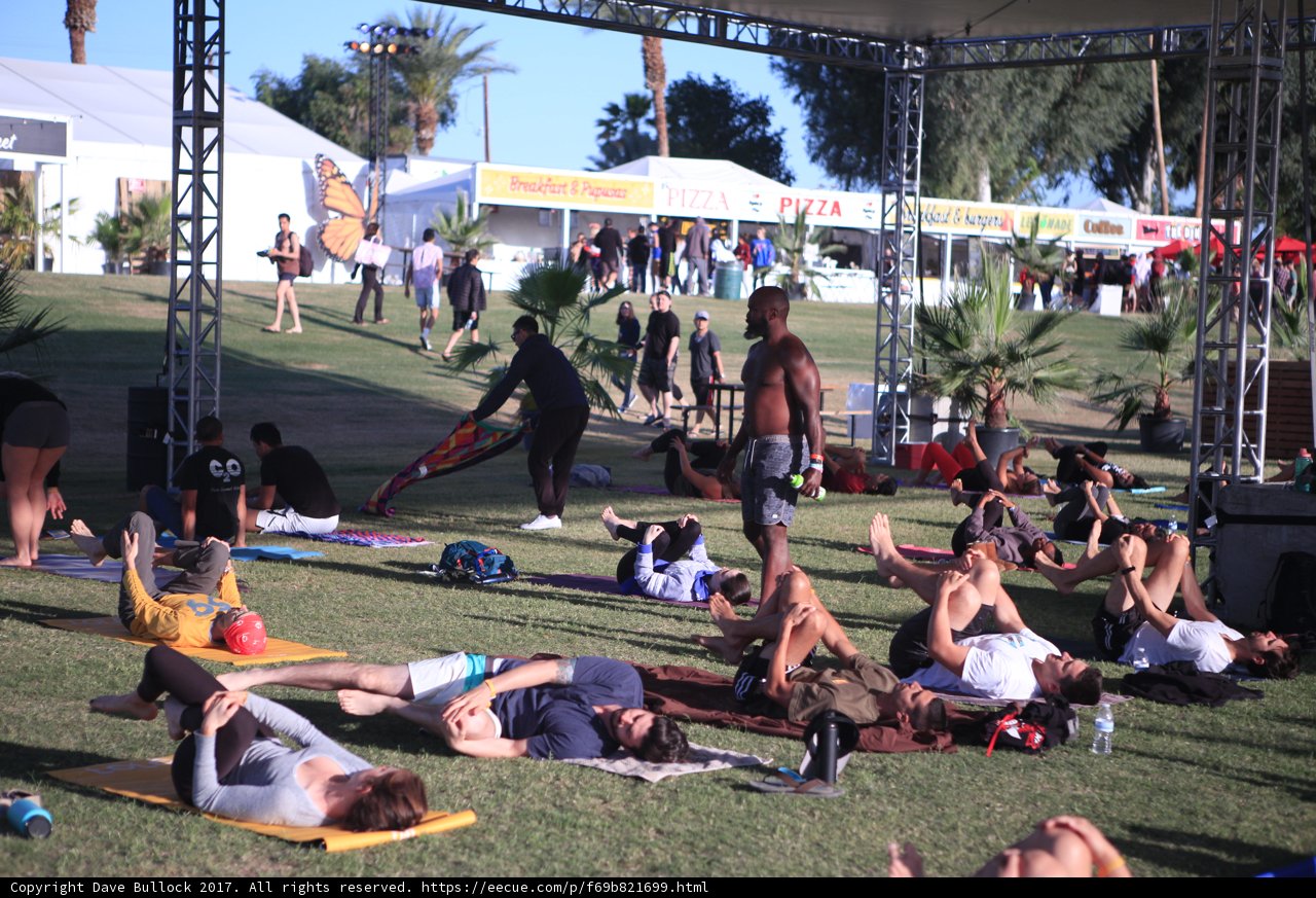 Coachella Crowd Sunbathes Under Palms