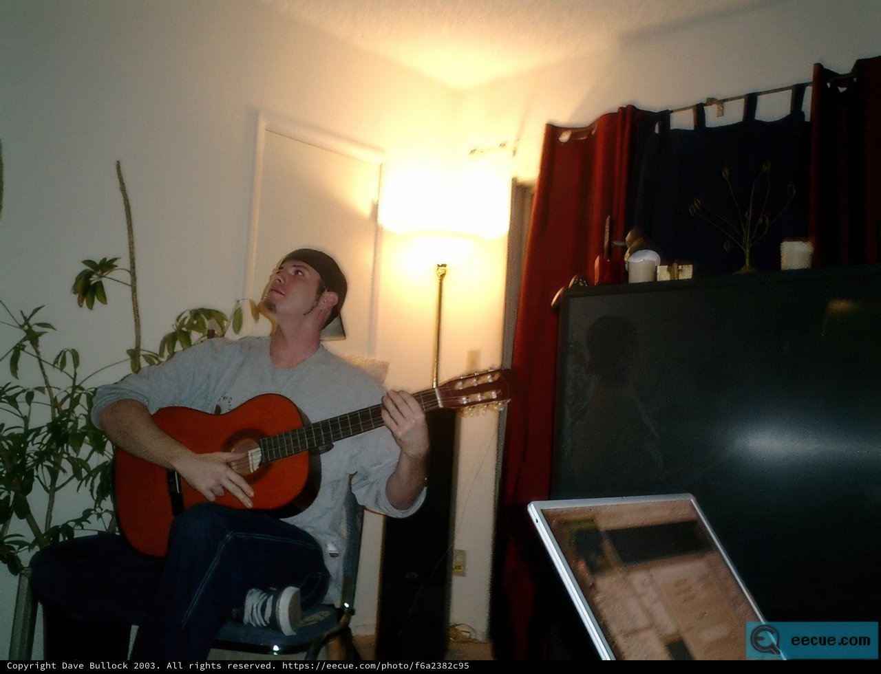 Acoustic Serenade in the Living Room