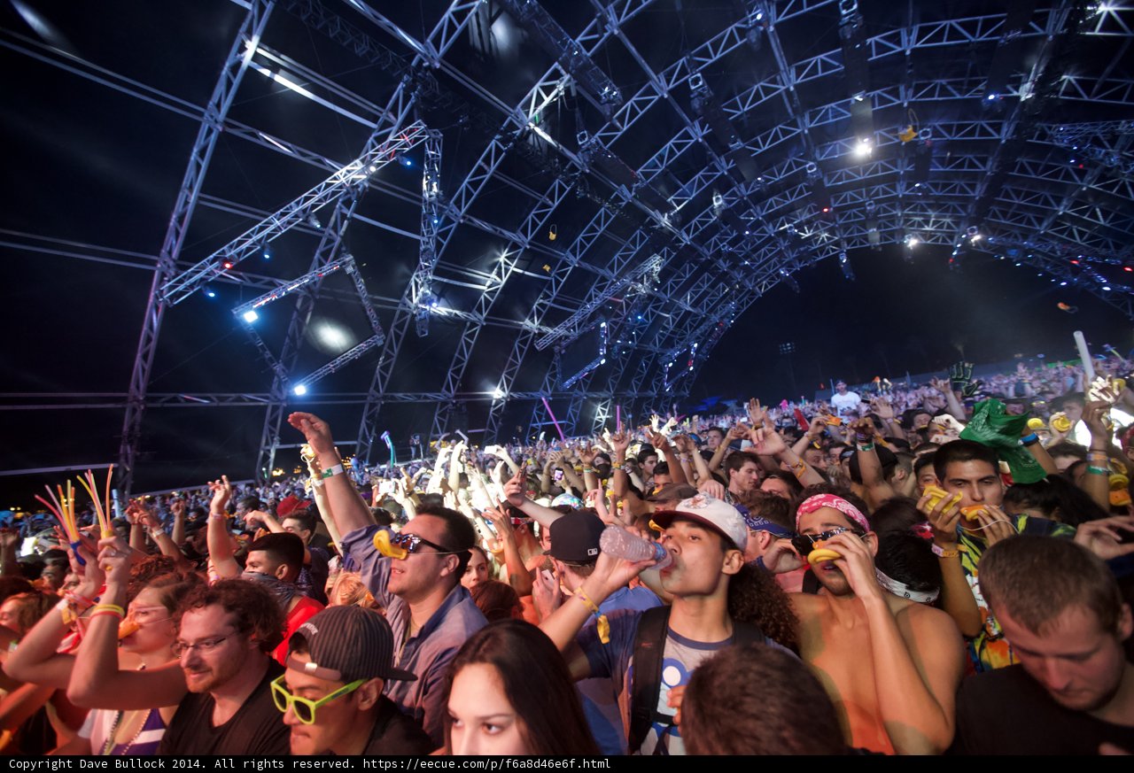 Music Festival Madness
