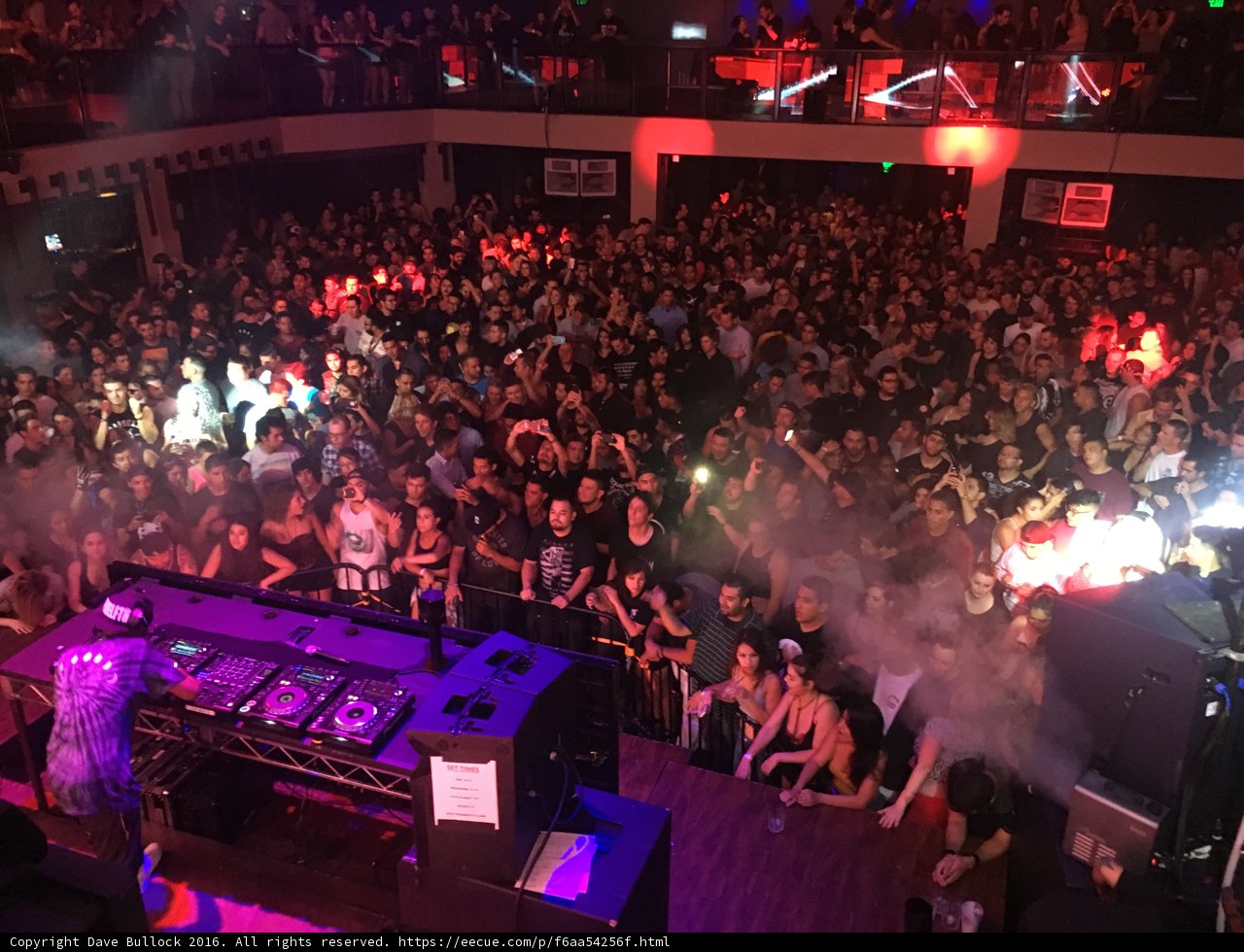 The Ultimate Nightclub Experience