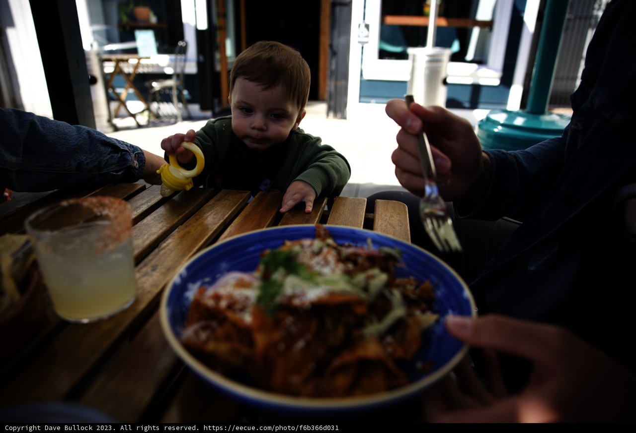 Little Wesley's Delightful Lunch in Alamo Square