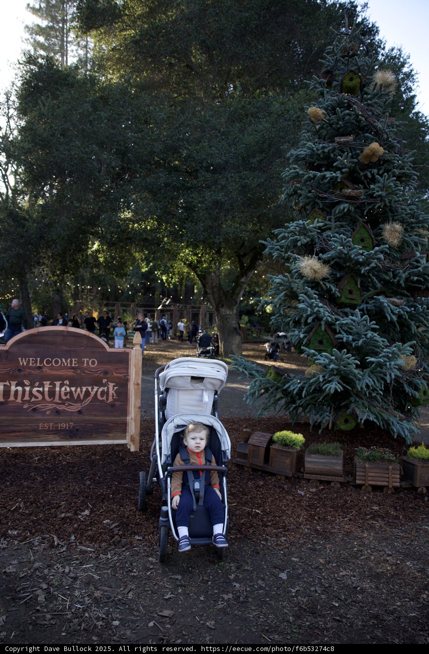 A Stroll Through Thistlewyck