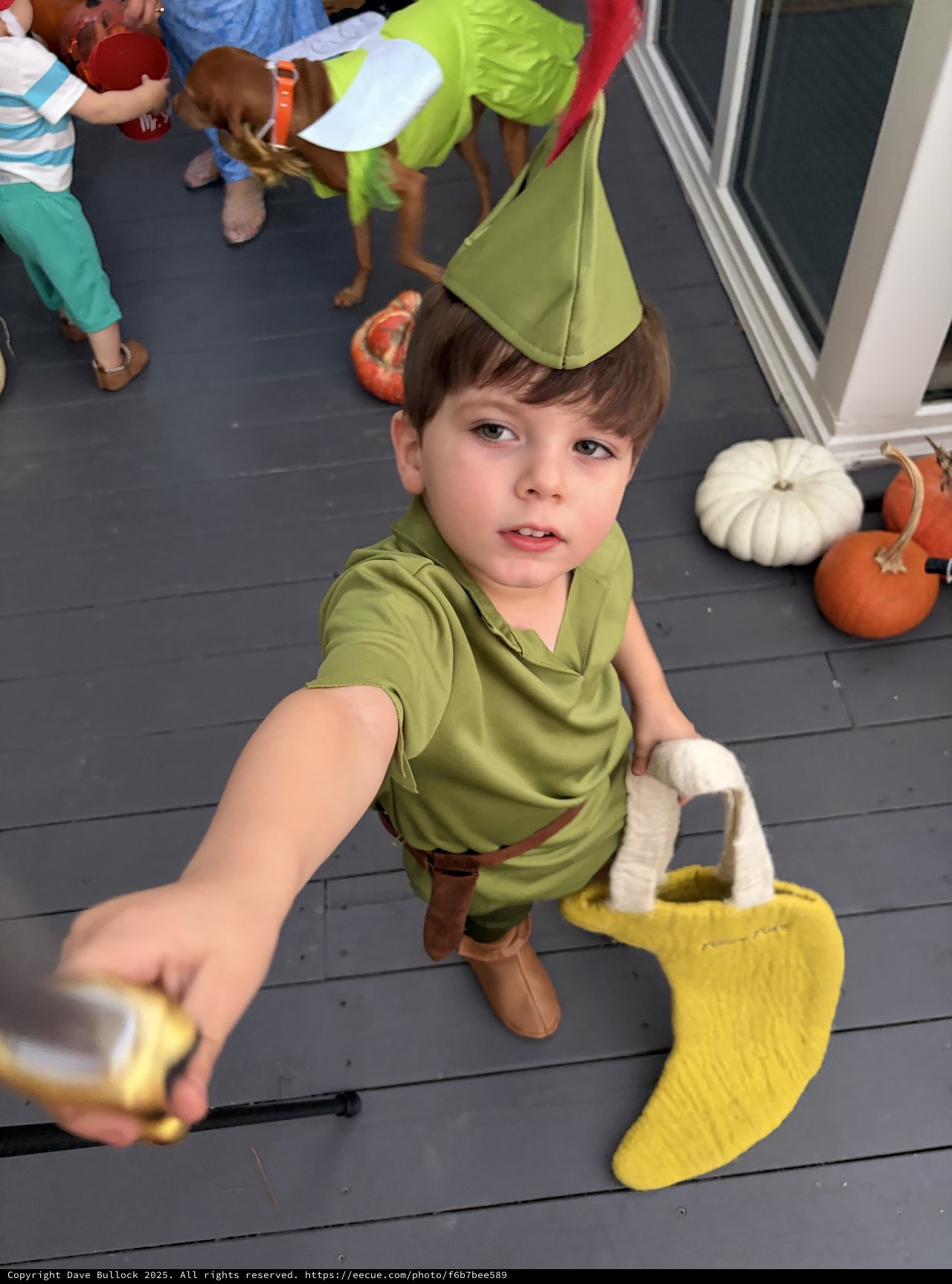 Young Boy in Peter Pan Costume at Halloween Party