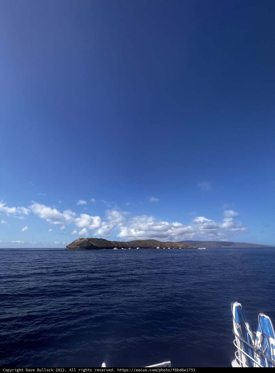 A Serene View of the Hawaiian Coast