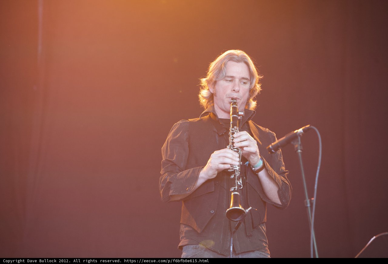 Harmonious Sounds of Coachella