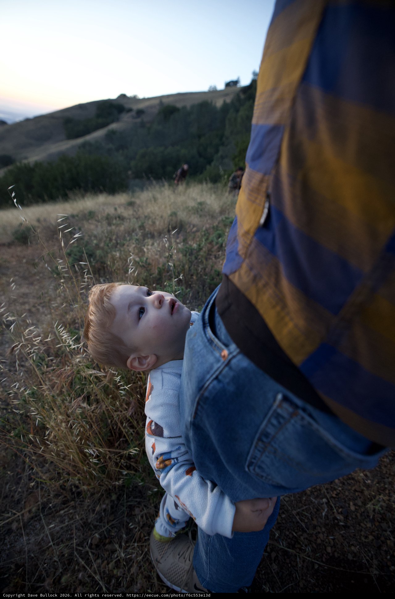 Small Boy Gazes Up at Parent on Hillside at Dusk
