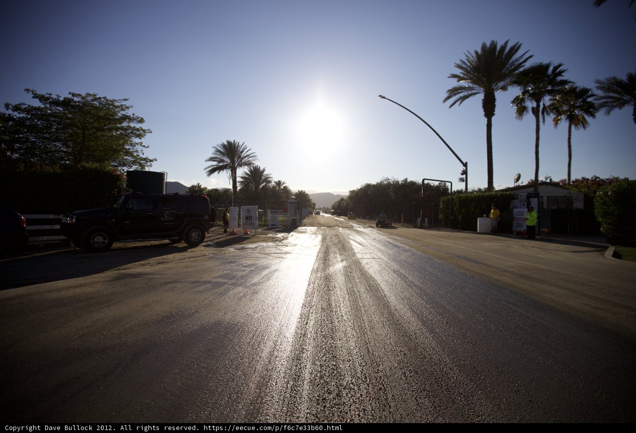 Drive through Palm Trees
