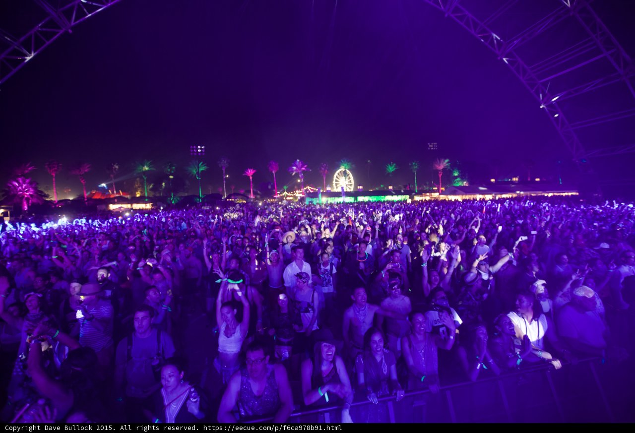 Purple Haze Concert