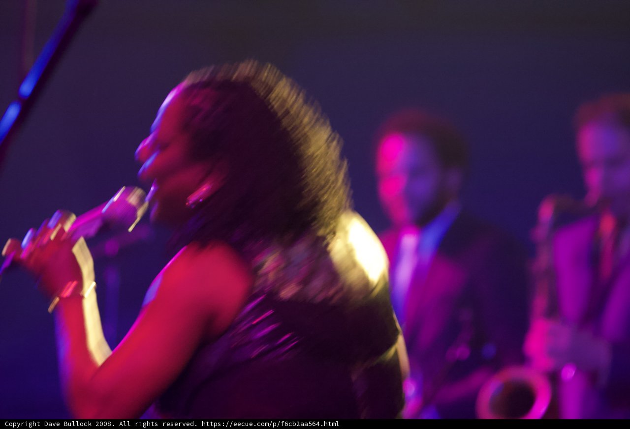 Electrifying Nightlife Performance