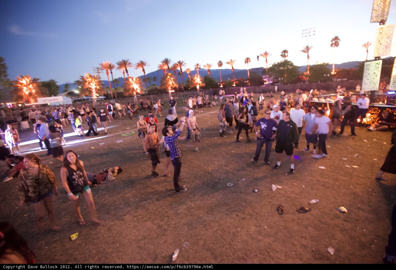 Desert Festivities