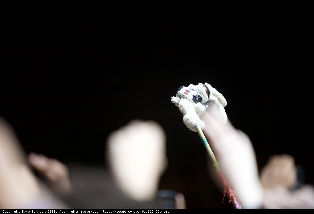 Crowd Lifts Stuffed Animal in Coachella