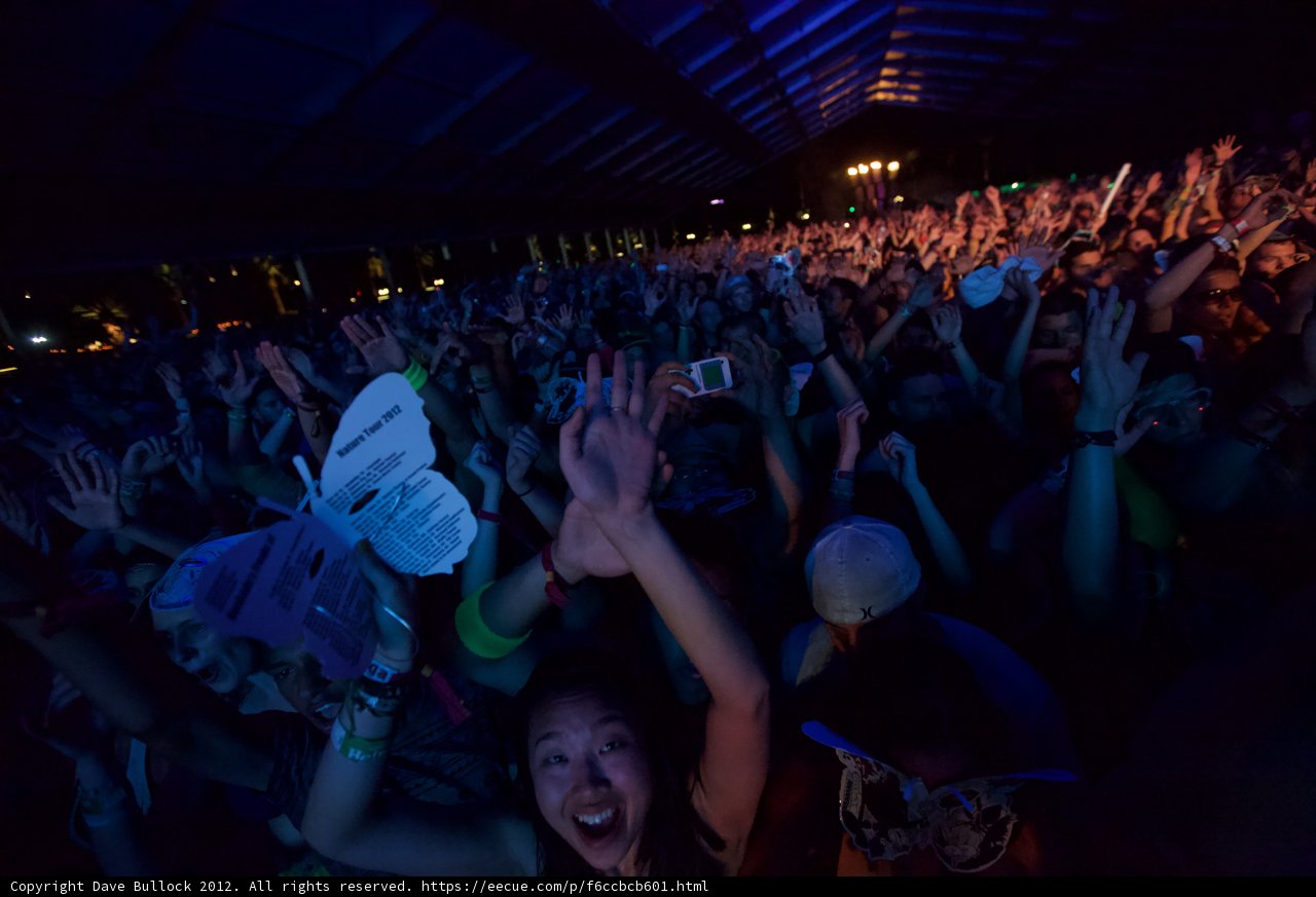 Urban Concert Crowd