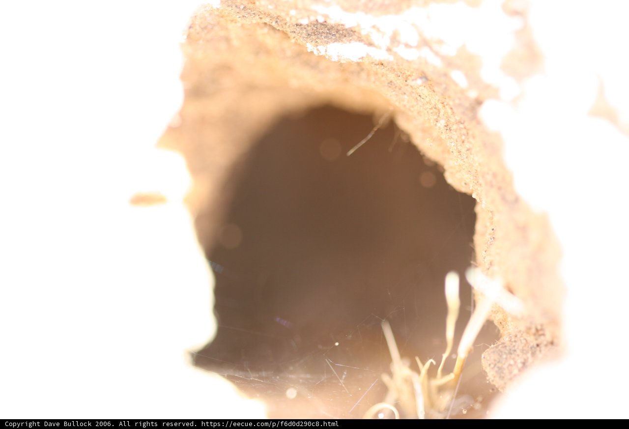 Hidden in the Hole