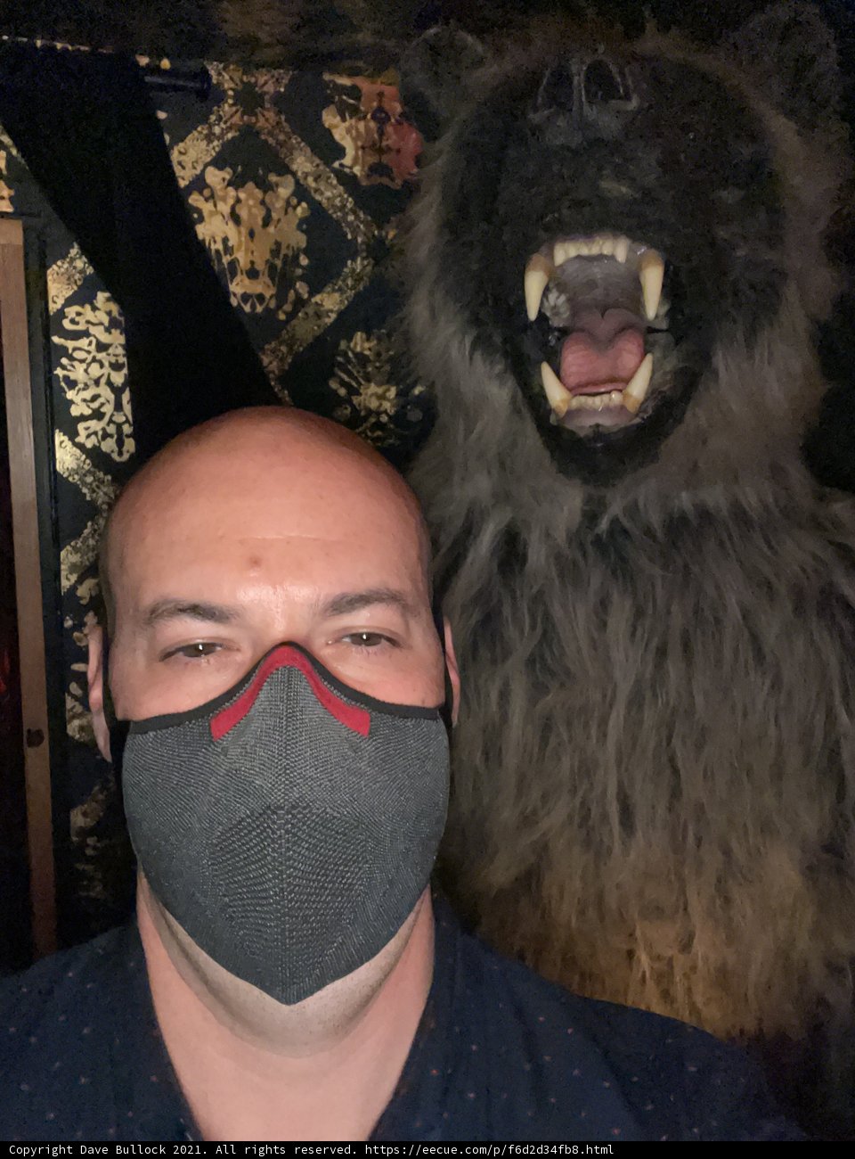 Masked Portrait Duo