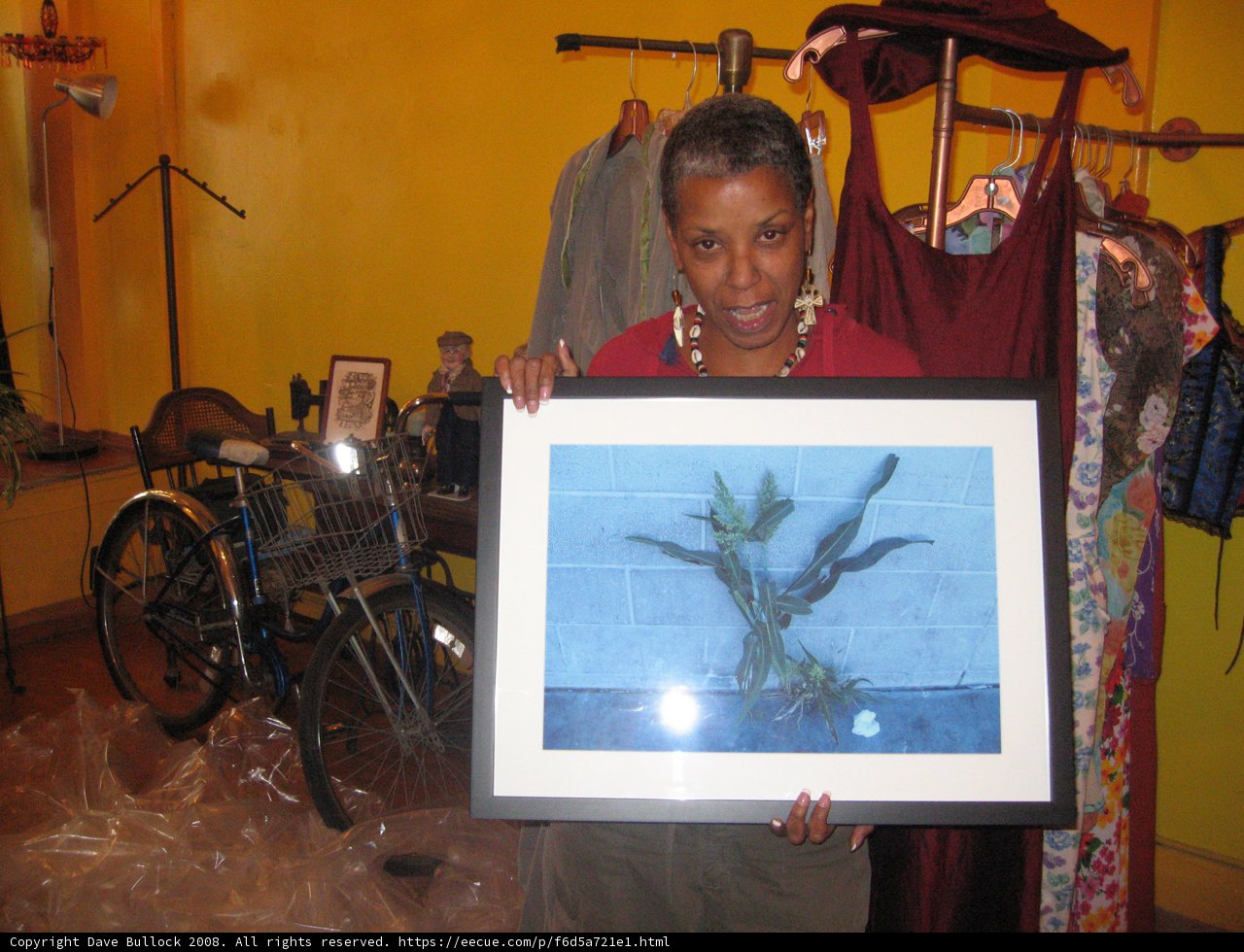 Framed Greenery