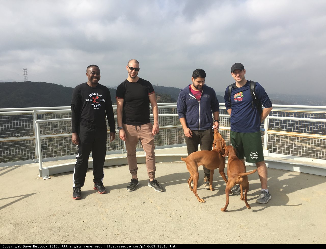 Four Men and a Dog Overlooking the Santa Monica Mountains
