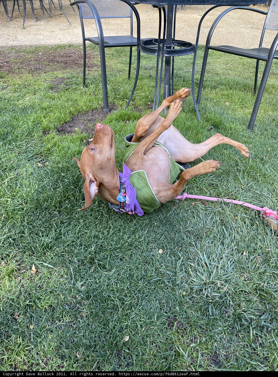 Rollin' in Nature's Carpet