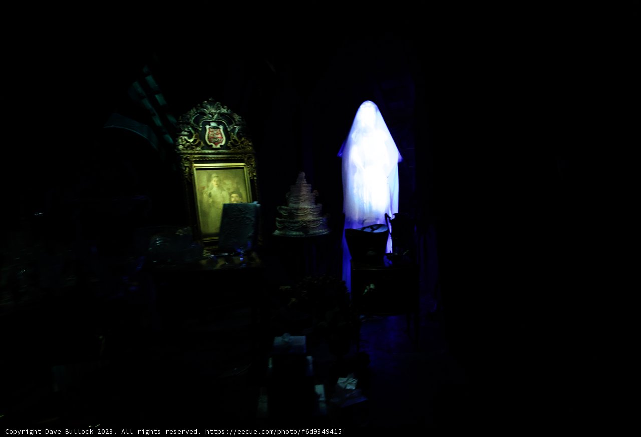 Enigmatic Sanctuary