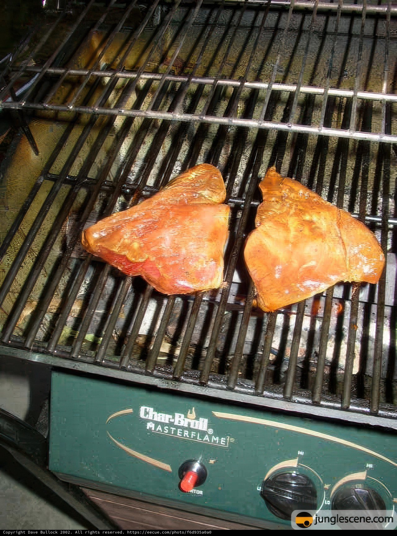 Sizzling BBQ Delight