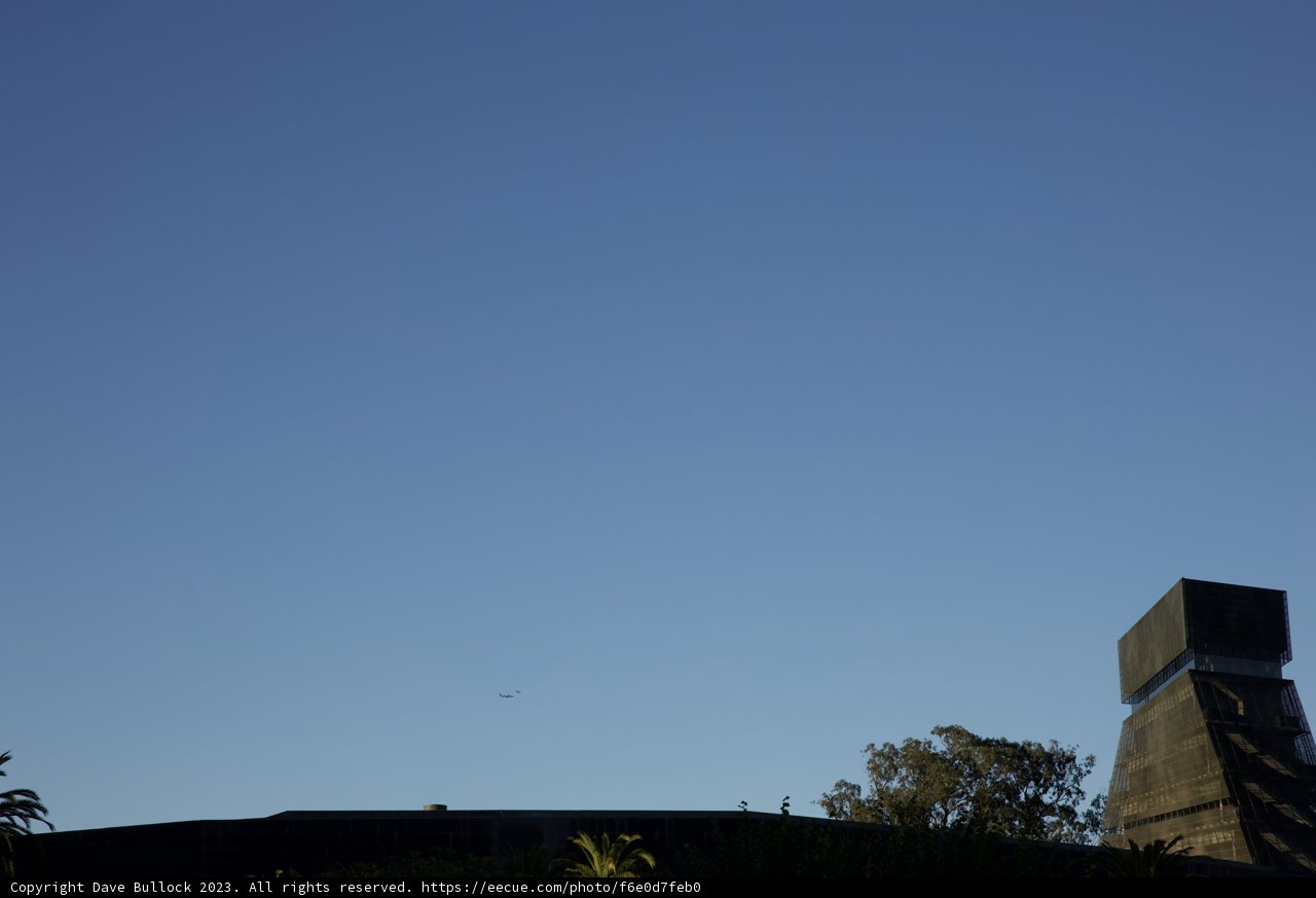 Birds Over the Academy: A Symphony of Nature and Architecture